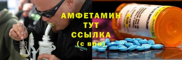 гидра Абаза