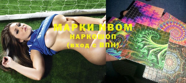 гидра Абаза