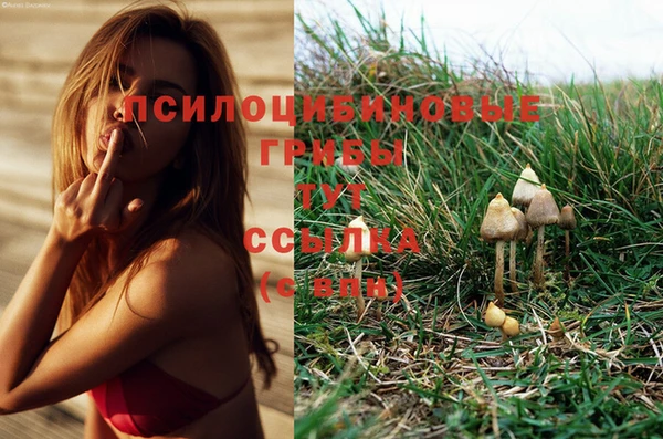 гидропоника Абдулино