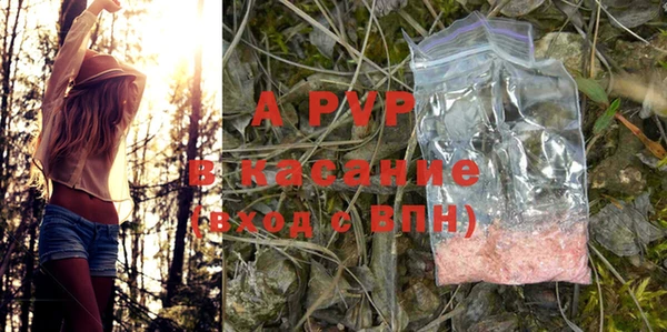 гидра Абаза