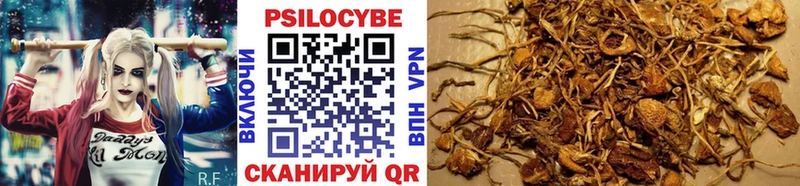 Галлюциногенные грибы Magic Shrooms  ссылка на мегу зеркало  Грозный 